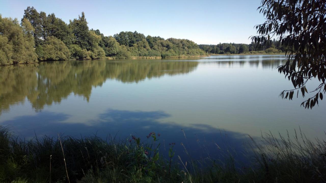 Penzion Lada Nová Bystřice Bagian luar foto