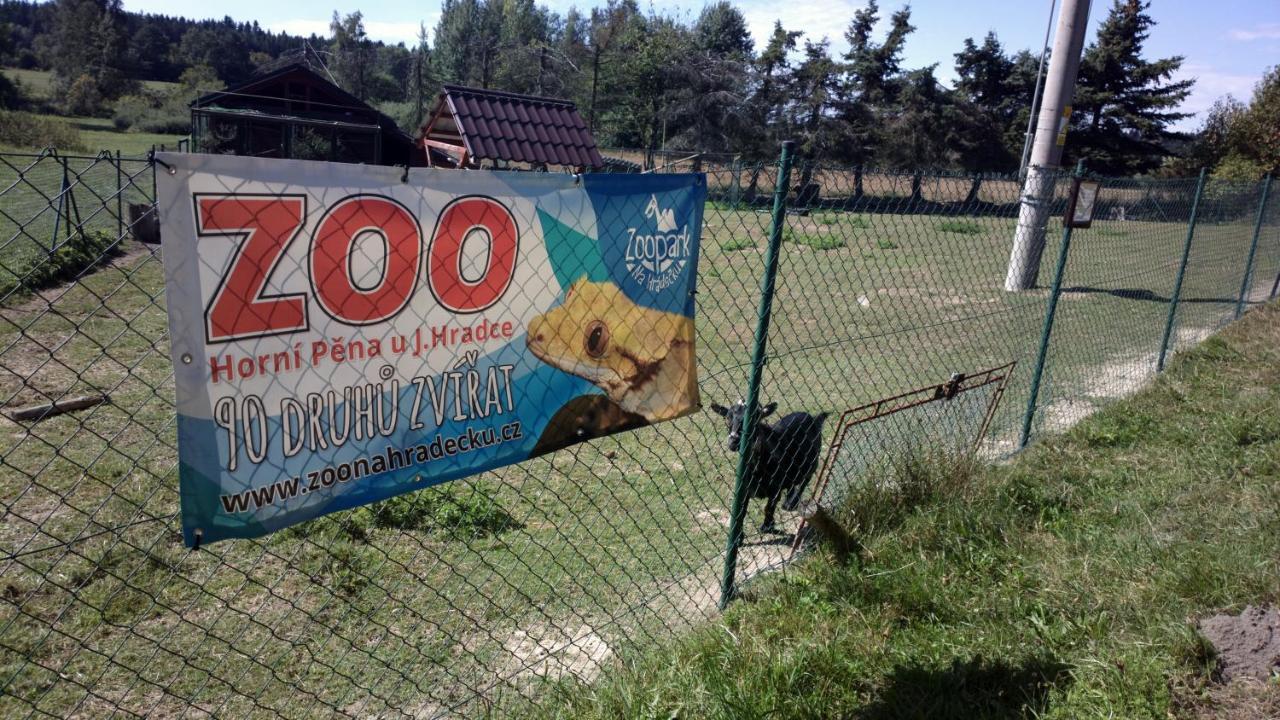 Penzion Lada Nová Bystřice Bagian luar foto